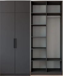 Распашной шкаф Вилета 5 (1000*2500*500)